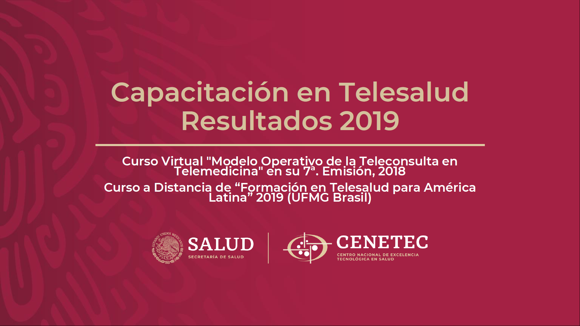Capacitacion en Telesalud Resultados 2019